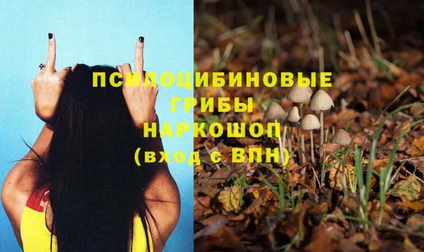 mix Каменка