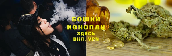 mdpv Каменногорск