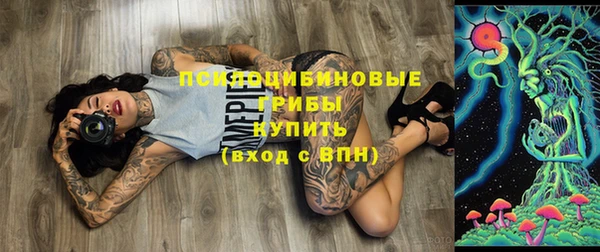 mix Каменка