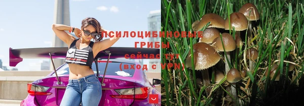 mdpv Каменногорск