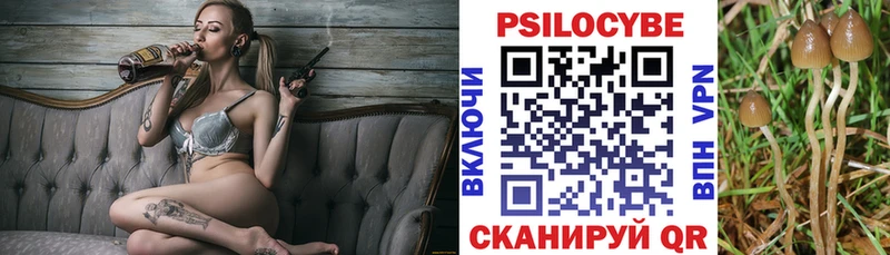 Псилоцибиновые грибы Psilocybe Киржач