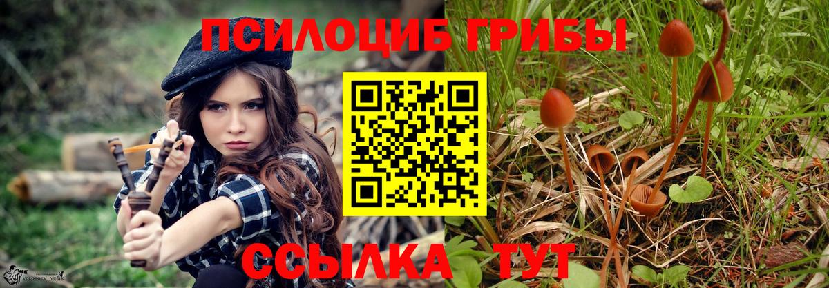 Галлюциногенные грибы Magic Shrooms Киржач