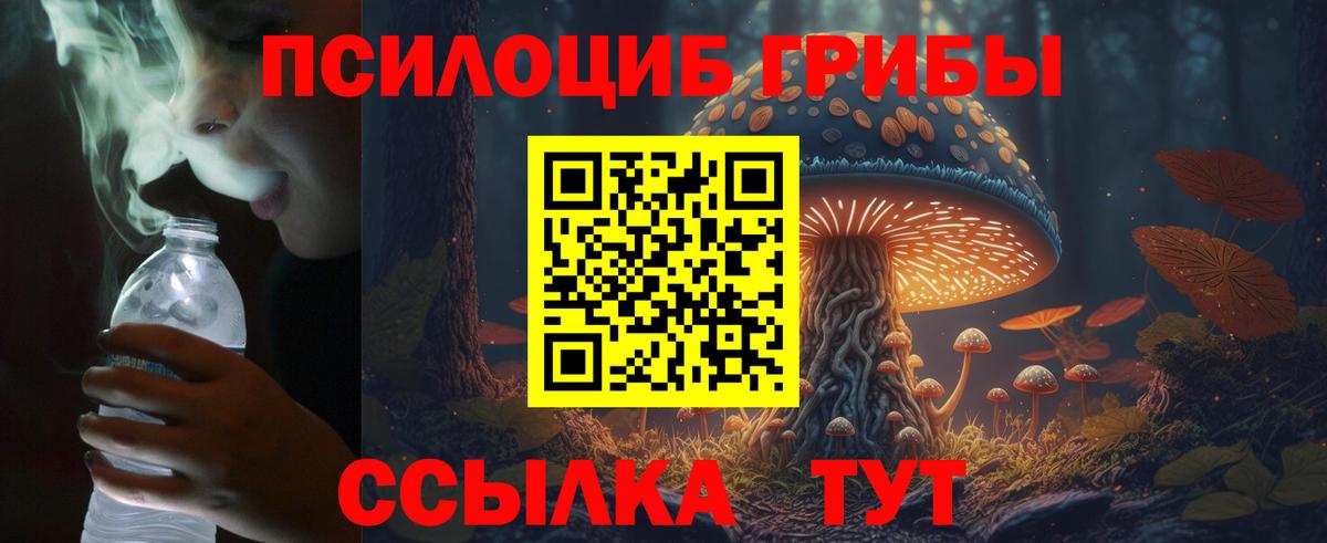 Киржач  Псилоцибиновые грибы Magic Shrooms  Псилоцибиновые грибы Magic Shrooms  Вход с VPN 