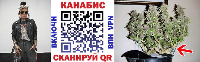 Конопля White Widow купить Киржач